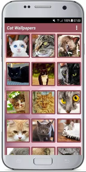 CUTE CAT WALLPAPERS ဖန်သားပြင်ဓာတ်ပုံ 1