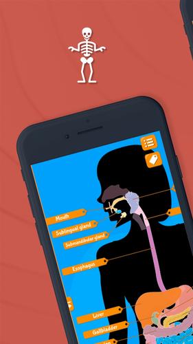 Human Anatomy - Body parts Captura de pantalla 1