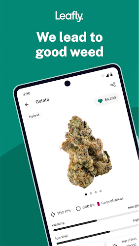 Leafly: Find Cannabis and CBD Tangkapan skrin 0