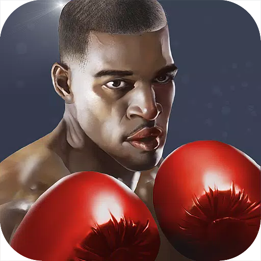 Punch Boxing 3D