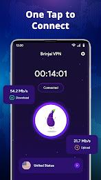 Brinjal VPN - Proxy & Secure Скриншот 2