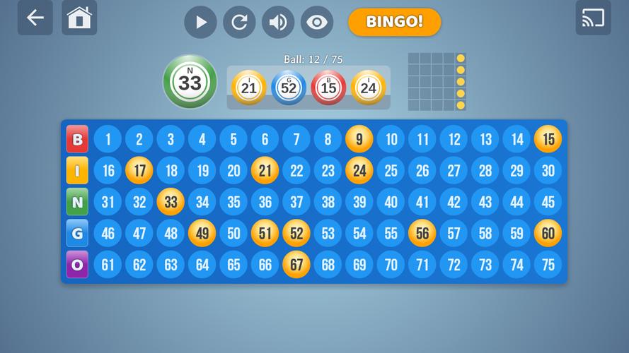 Bingo Set Screenshot 3