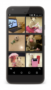 MediaGrub - Insta, Twit, Flick, Tumb photo saver スクリーンショット 1