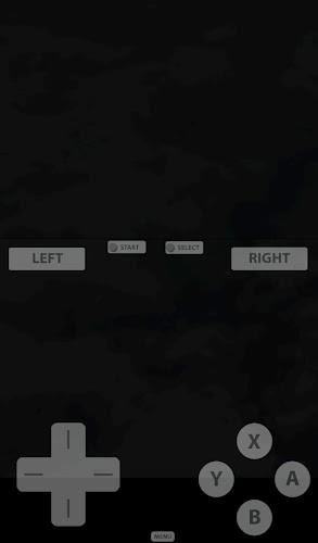Fast DS Emulator - For Android 螢幕截圖 1