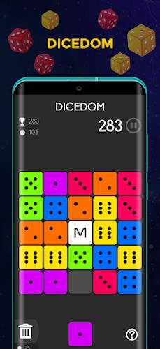 Dice Puzzle - Puzzle Game Screenshot 1