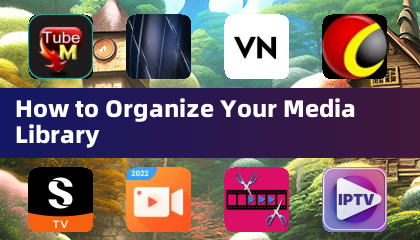 How to Organize Your Media Library