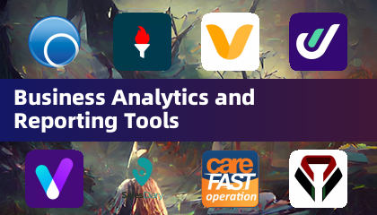 Business Analytics and Reporting Tools